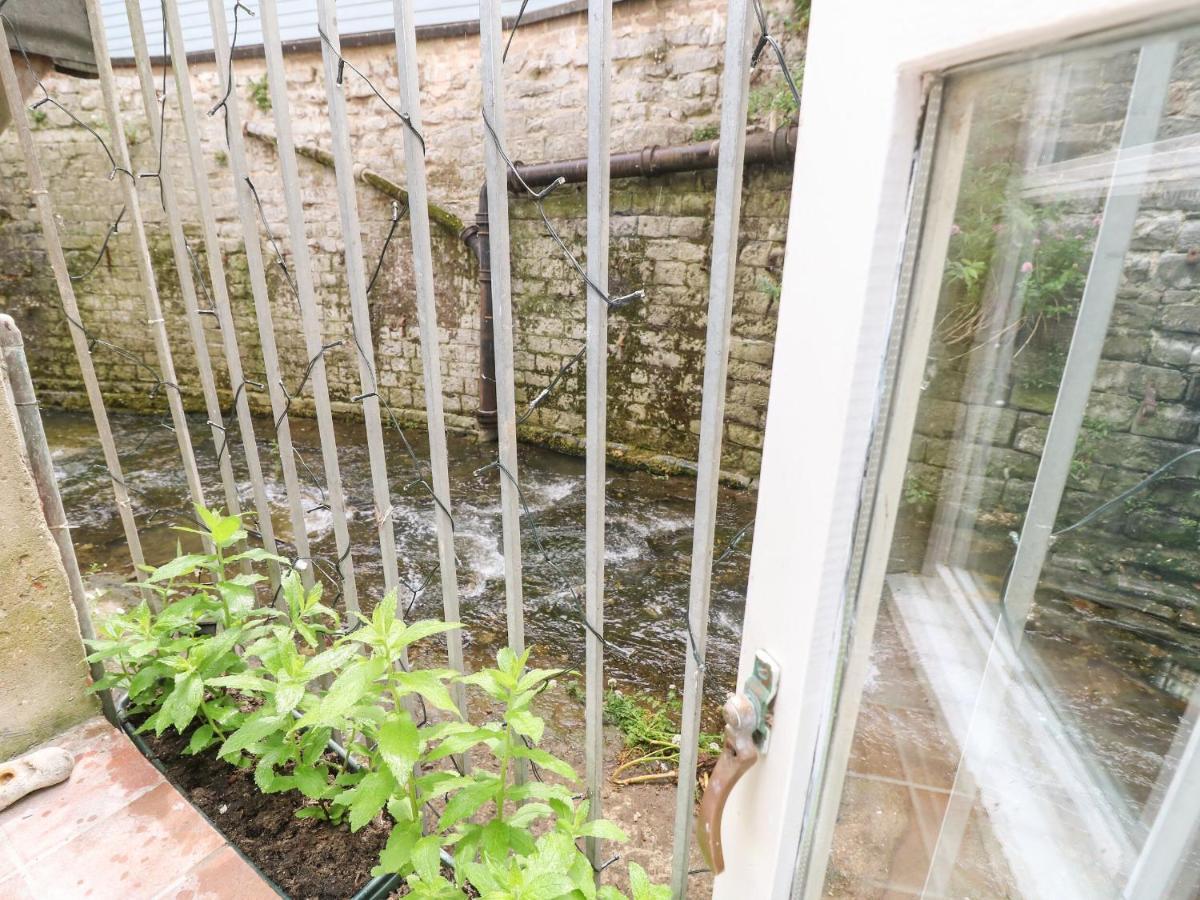Riverdance Cottage Lyme Regis Exteriör bild